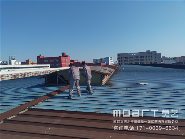 祝贺丝瓜视频在线观看建材与温州东风化工机械有限公司达成合作