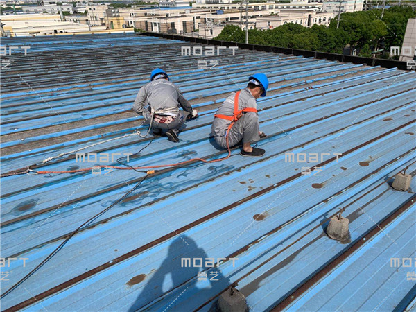 丝瓜视频下载污除锈