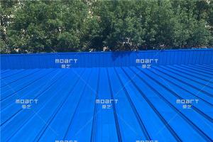 湖北蔡甸丝瓜视频下载污翻新施工案例