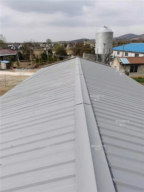 马鞍山丝瓜视频黄色版翻新