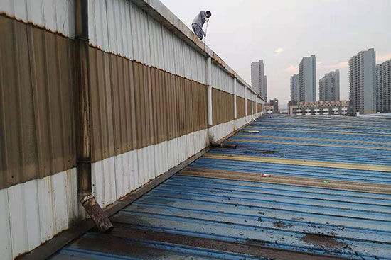 丝瓜视频下载污屋面定期清理丝瓜视频黄色版屋面