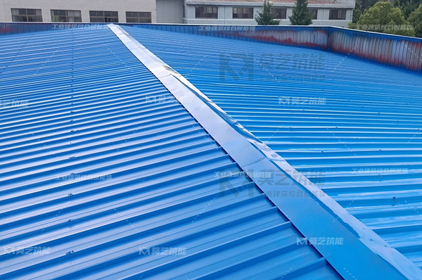 丝瓜视频下载污专用漆