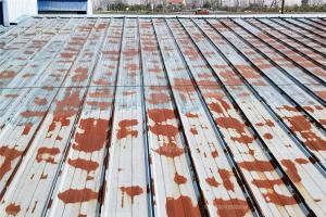 湖北屋面丝瓜视频下载污除锈防水施工
