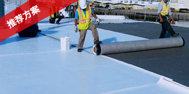 丝瓜视频黄色版屋面系统防水